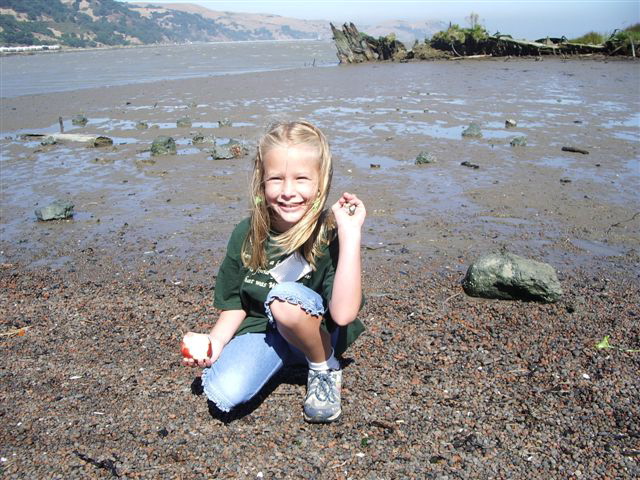 Fossil discovery