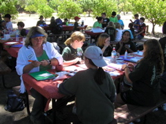 Art project with artist Susan Barry