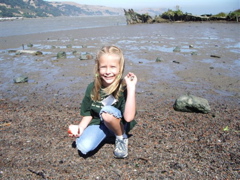 Fossil discovery