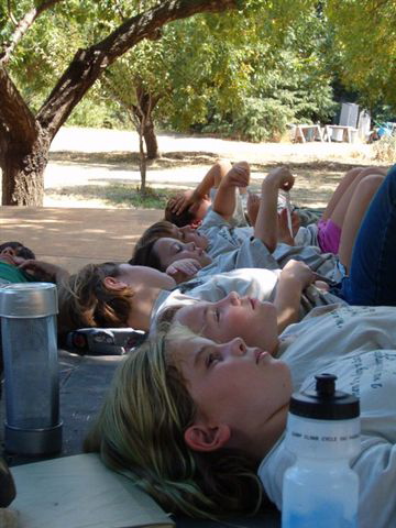 Campers ponder the tree branches